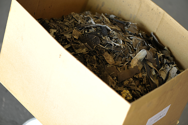 101124 5 DSC_6380.jpg